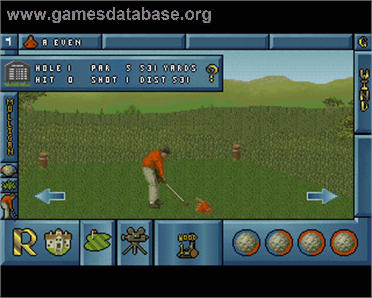 International Open Golf Championship - Commodore Amiga - Artwork - In Game