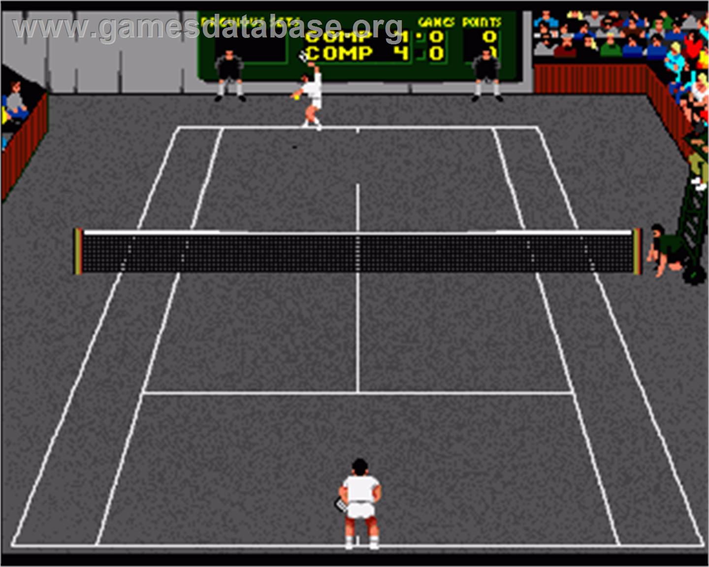 International Tennis - Commodore Amiga - Artwork - In Game