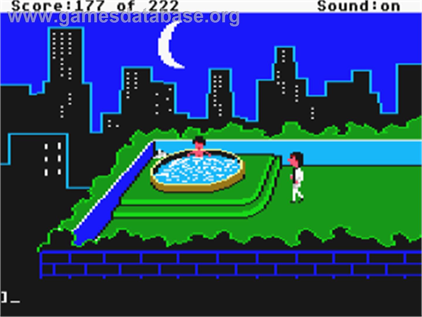Leisure Suit Larry 1:  In the Land of the Lounge Lizards - Commodore Amiga - Artwork - In Game