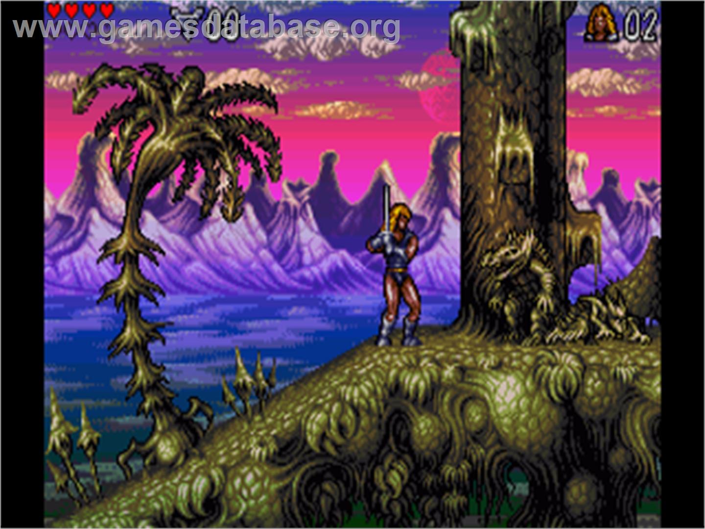 Lionheart - Commodore Amiga - Artwork - In Game