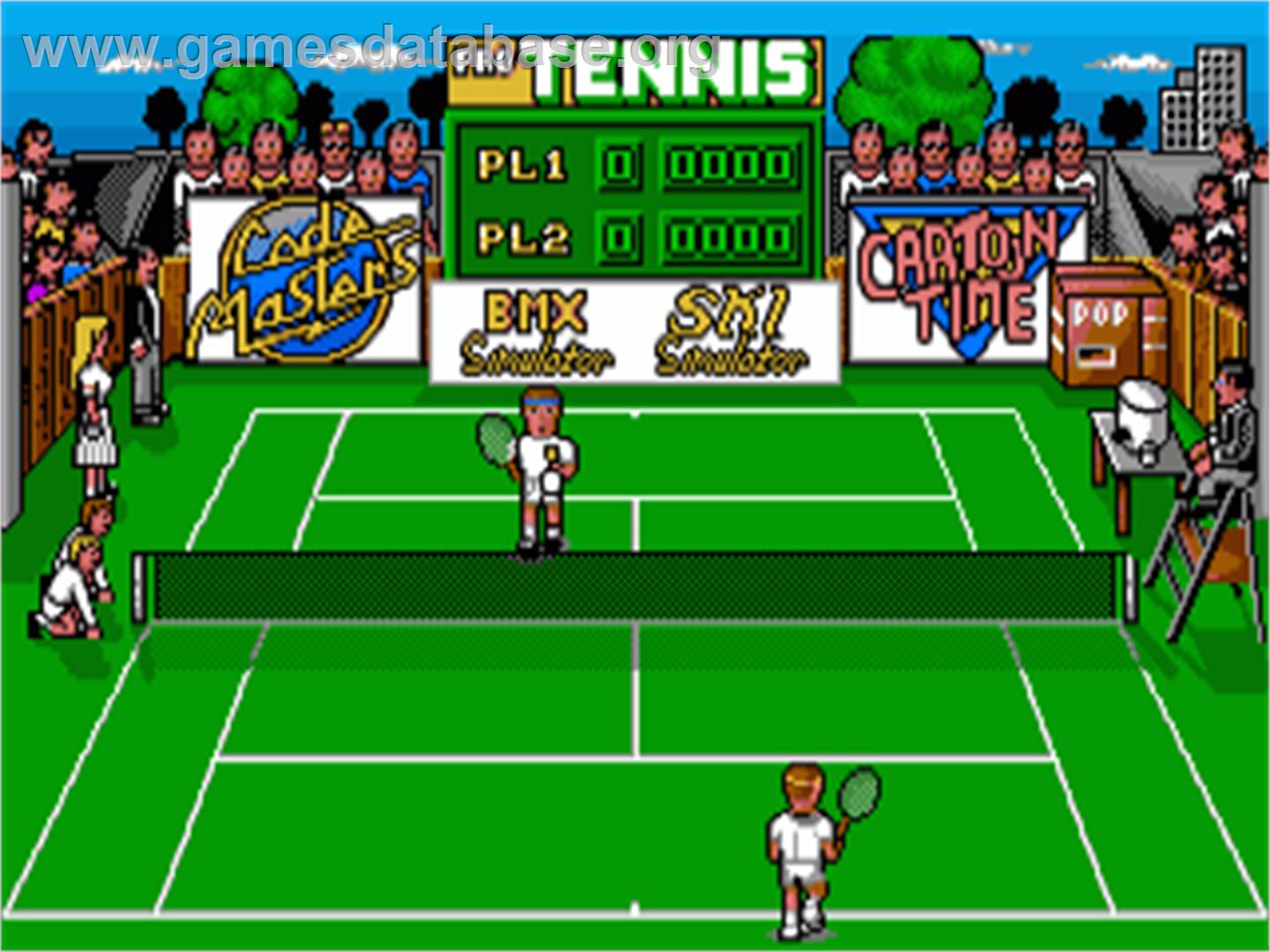 Pro Tennis Simulator - Commodore Amiga - Artwork - In Game