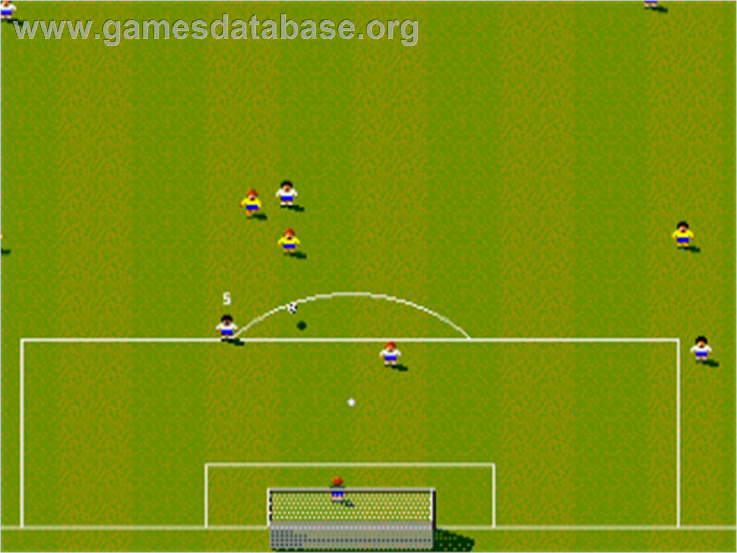 Sensible Soccer: European Champions - Commodore Amiga - Artwork - In Game
