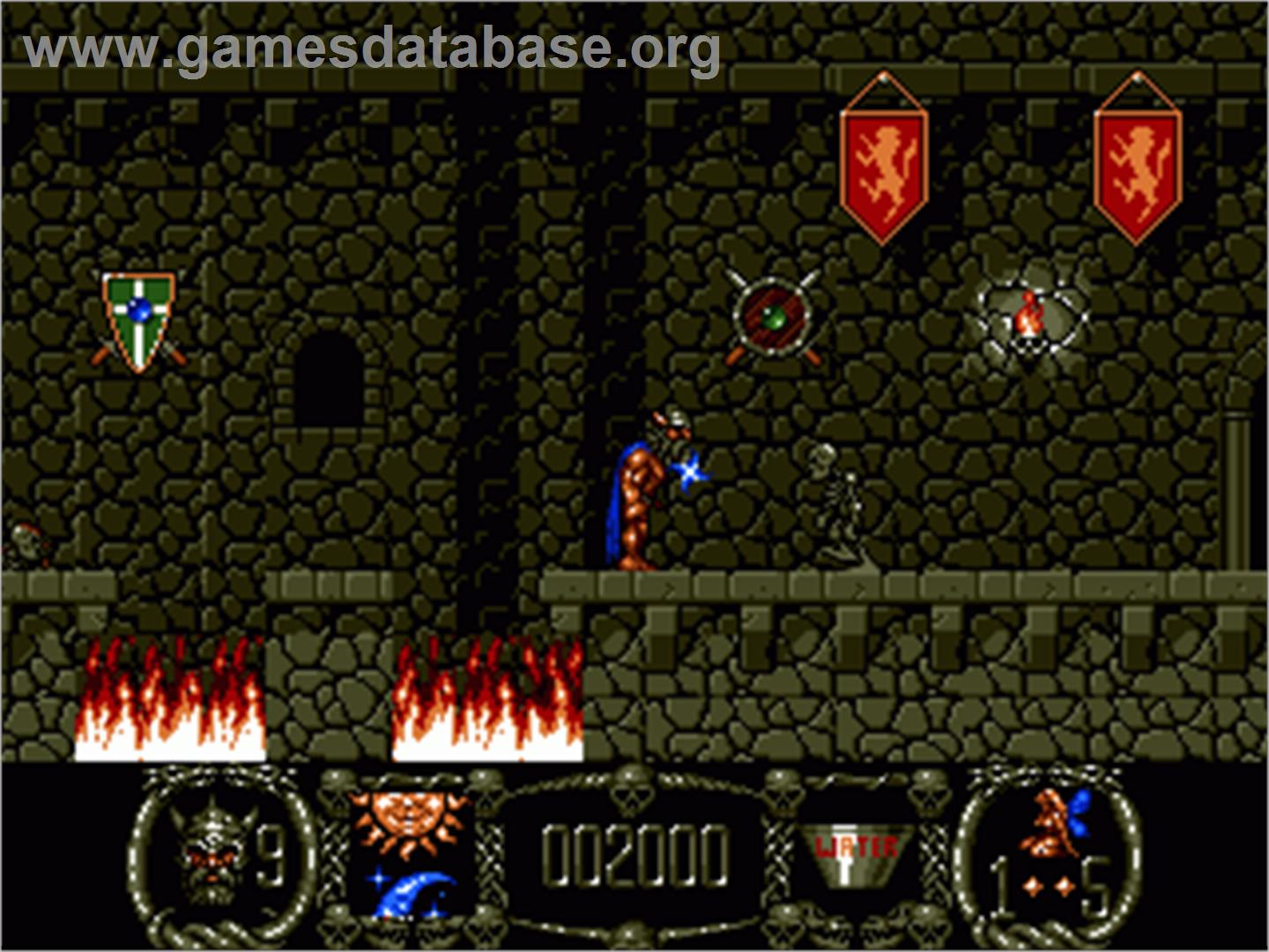 Stormlord - Commodore Amiga - Artwork - In Game