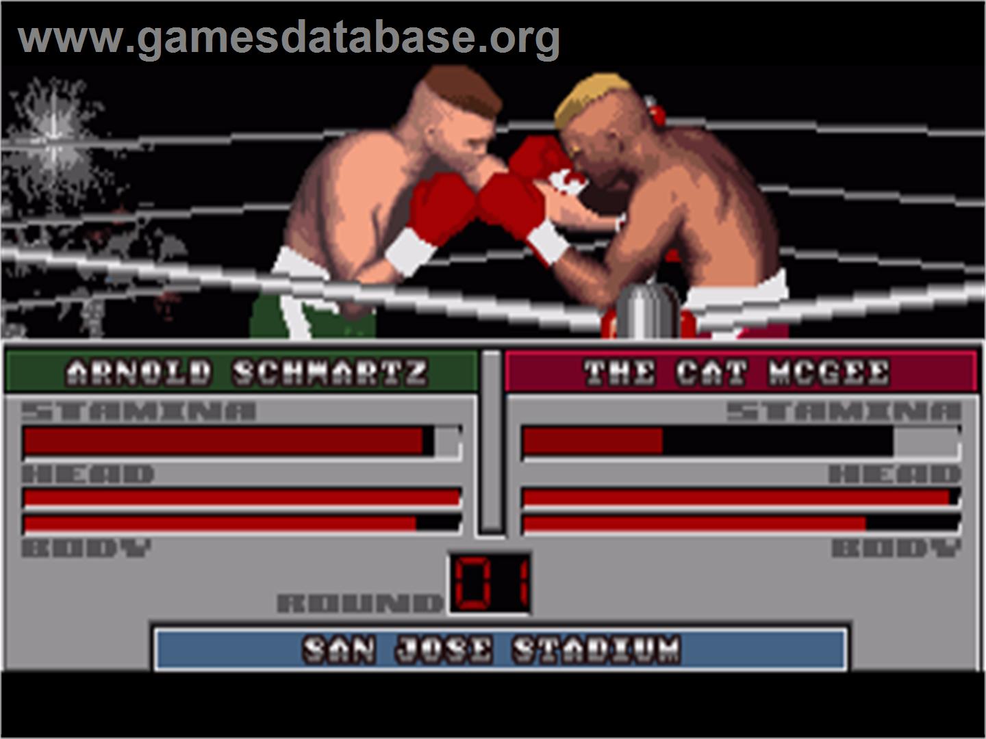 TV Sports: Boxing - Commodore Amiga - Artwork - In Game
