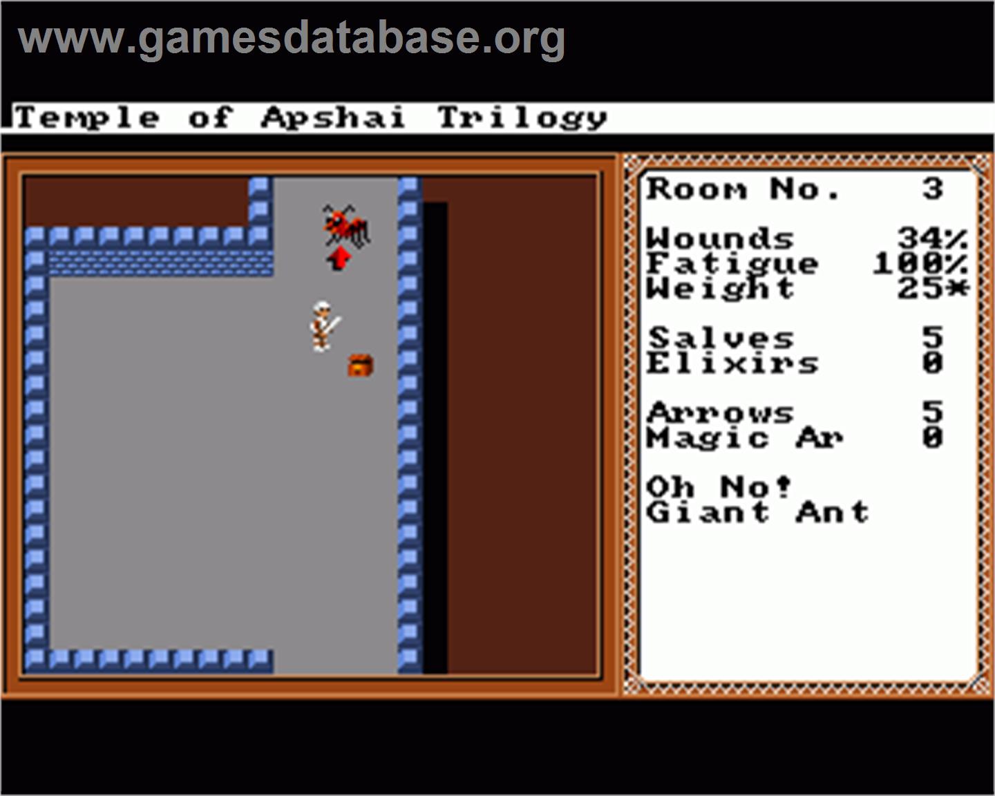 Temple of Apshai Trilogy - Commodore Amiga - Artwork - In Game