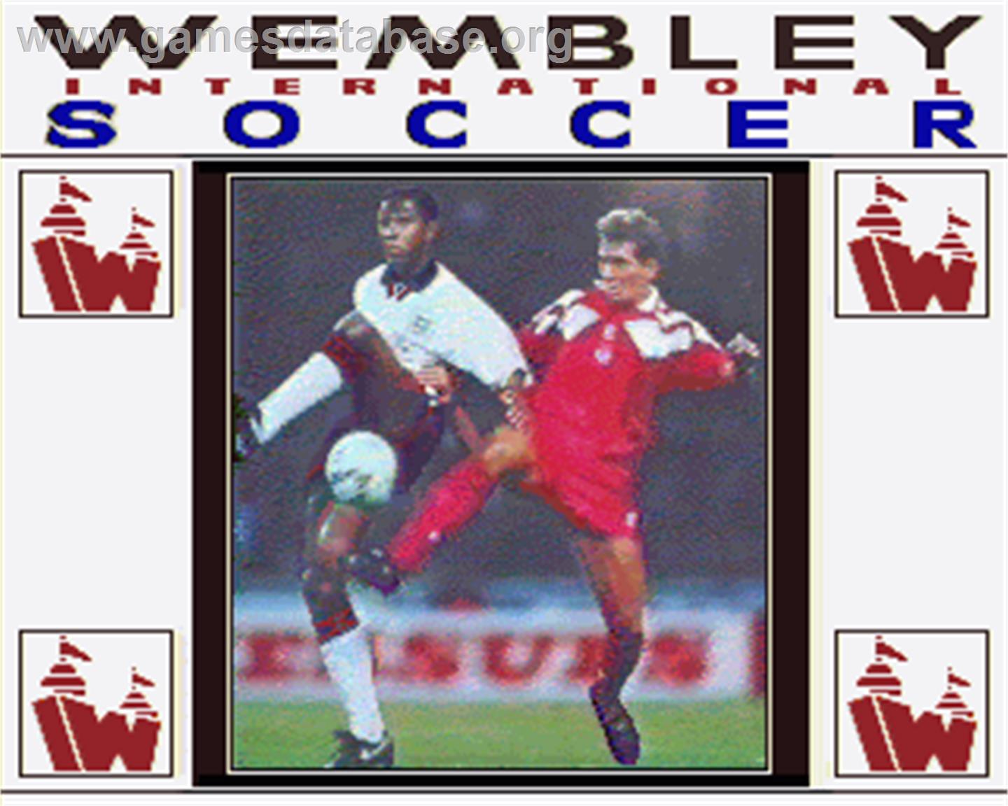 Wembley International Soccer - Commodore Amiga - Artwork - In Game