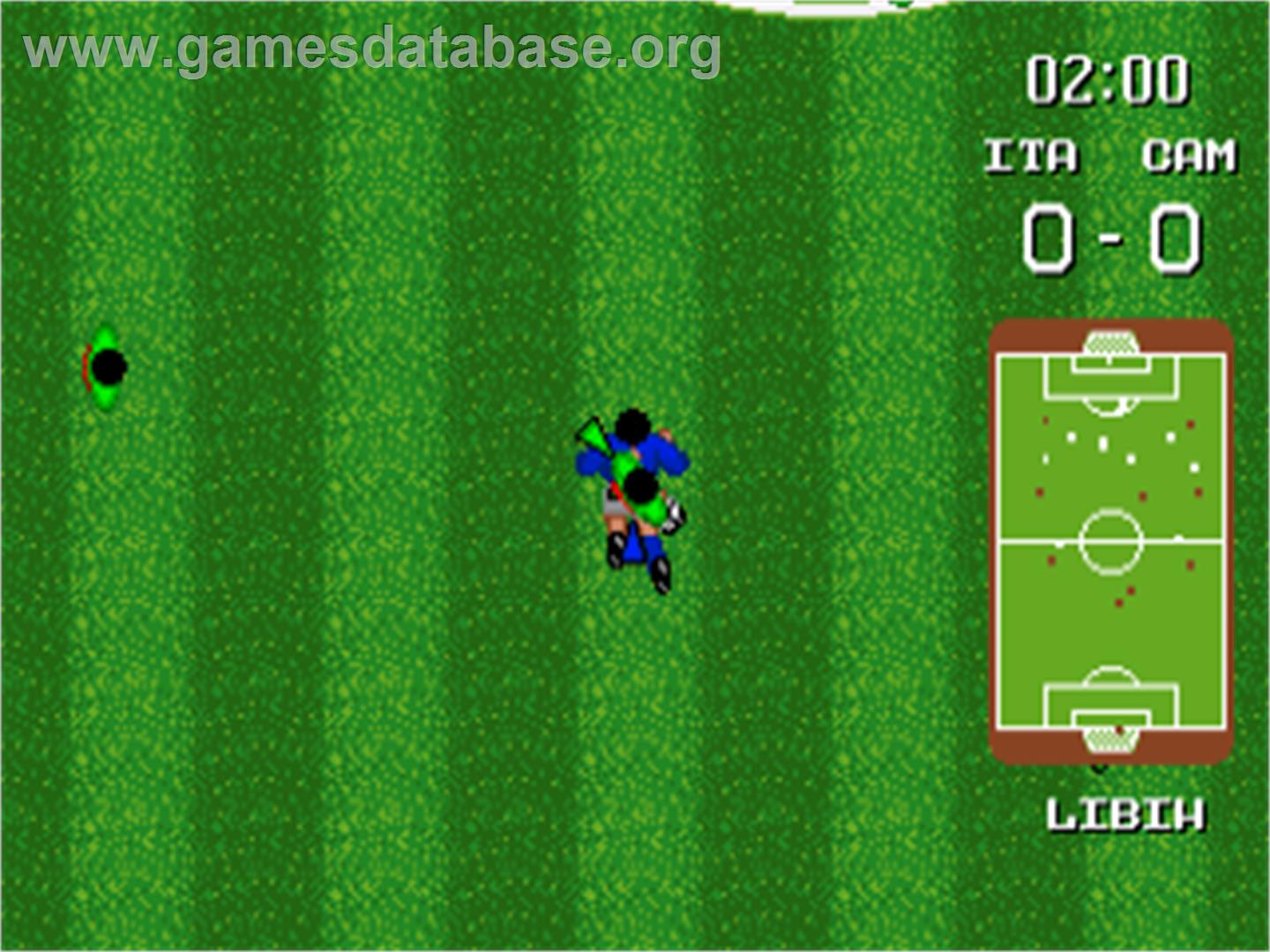 World Championship Soccer - Commodore Amiga - Artwork - In Game