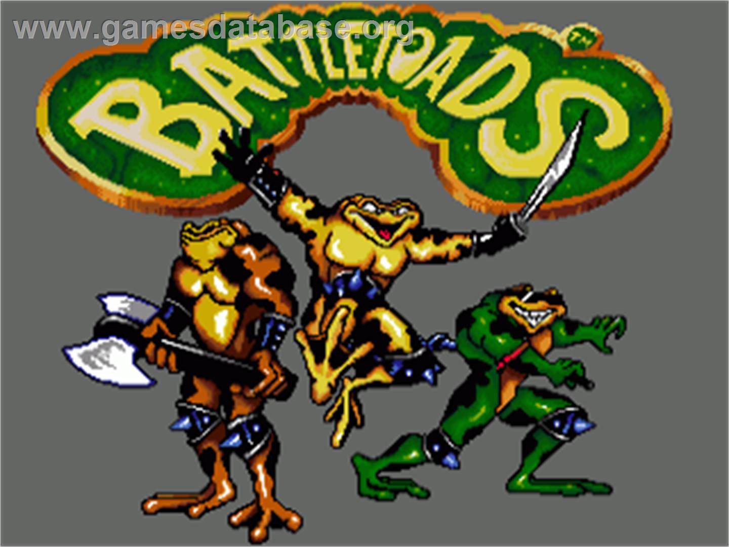 Battle Toads - Commodore Amiga - Artwork - Title Screen