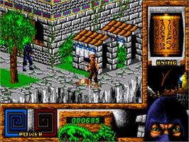 In game image of Last Ninja 3 on the Commodore Amiga CD32.