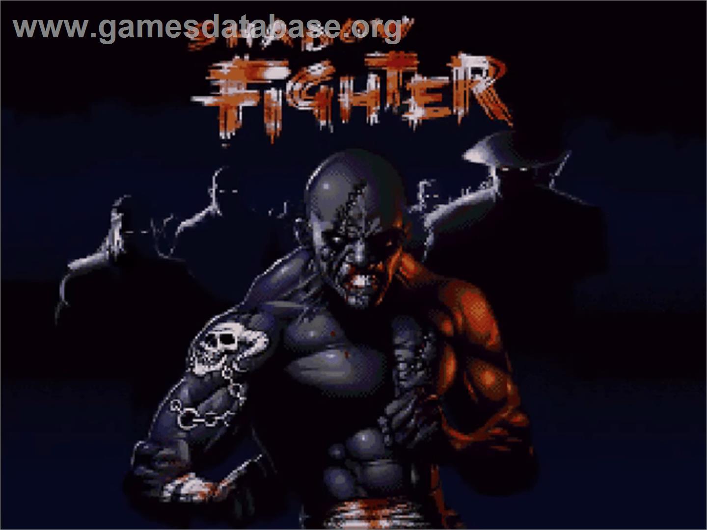 Shadow Fighter - Commodore Amiga CD32 - Artwork - Title Screen