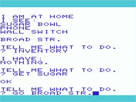 In game image of Pirate Adventure on the Commodore VIC-20.