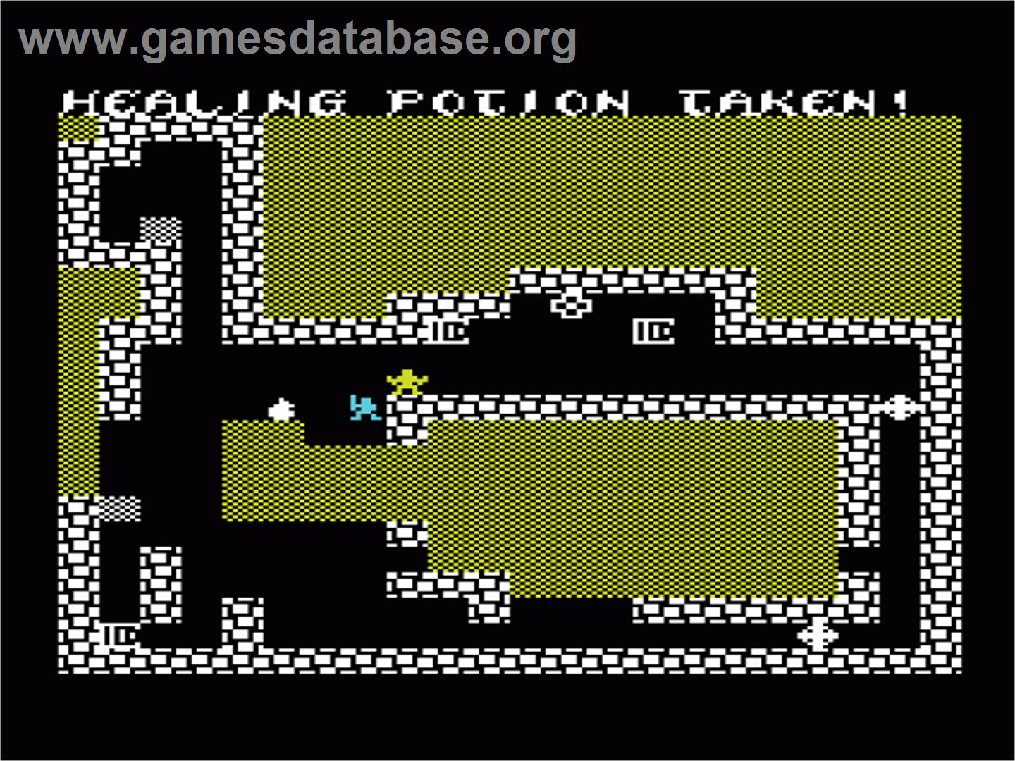 Sword of Fargoal - Commodore VIC-20 - Artwork - In Game
