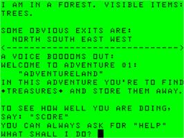 In game image of Adventure Land on the Dragon 32-64.