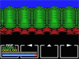 In game image of Dungeon Hunter on the MSX.