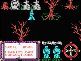 In game image of Feud on the MSX.