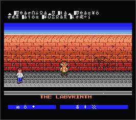 In game image of Labyrinth on the MSX 2.