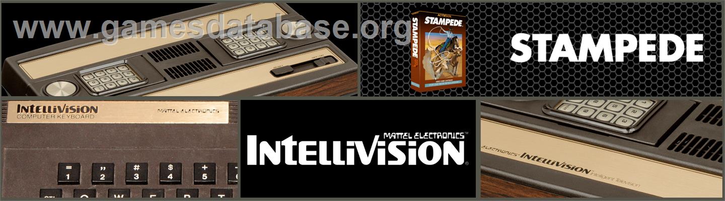 Stampede - Mattel Intellivision - Artwork - Marquee