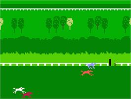 In game image of Horse Racing on the Mattel Intellivision.