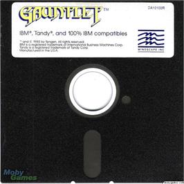 Artwork on the Disc for Gauntlet on the Microsoft DOS.