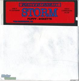 Artwork on the Disc for Storm on the Microsoft DOS.