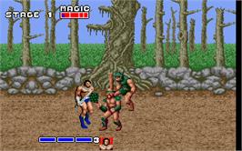 In game image of Golden Axe on the Microsoft DOS.
