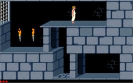 In game image of Prince of Persia on the Microsoft DOS.