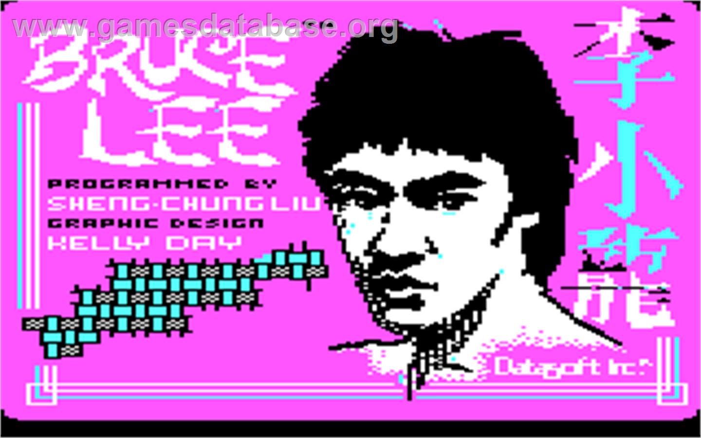 Bruce Lee - Microsoft DOS - Artwork - In Game