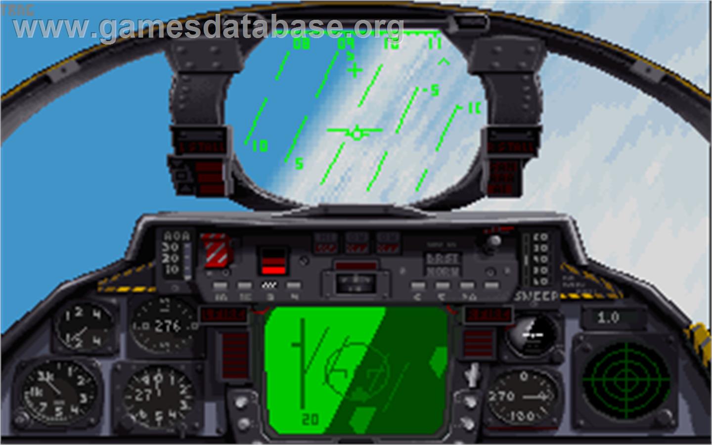 F-14 Tomcat - Microsoft DOS - Artwork - In Game