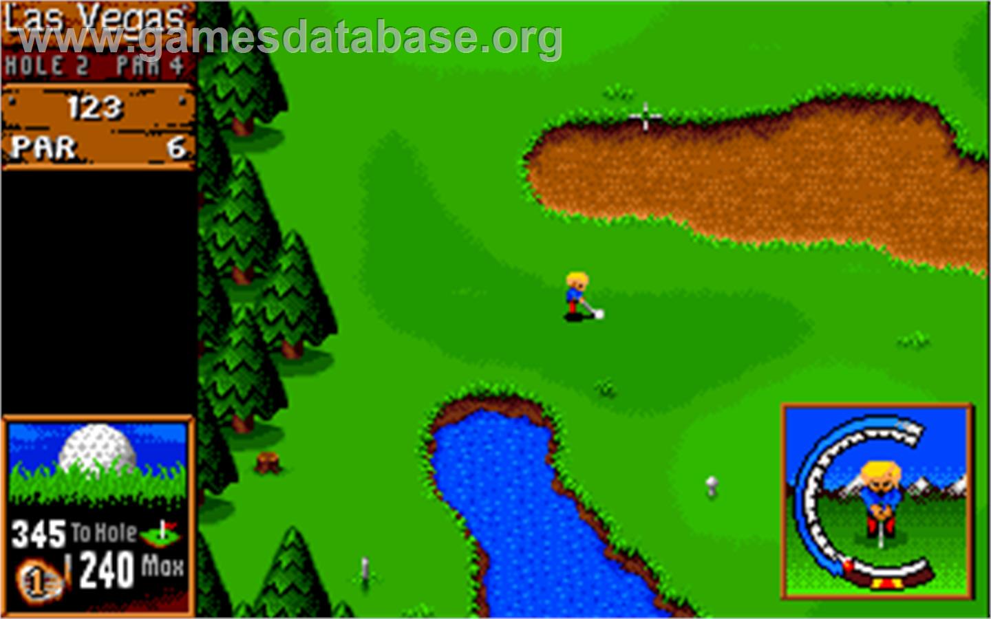 Sensible Golf - Microsoft DOS - Artwork - In Game