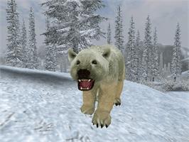 In game image of Cabela's Big Game Hunter 2005 Adventures on the Microsoft Xbox.
