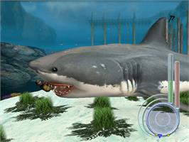 In game image of Jaws: Unleashed on the Microsoft Xbox.