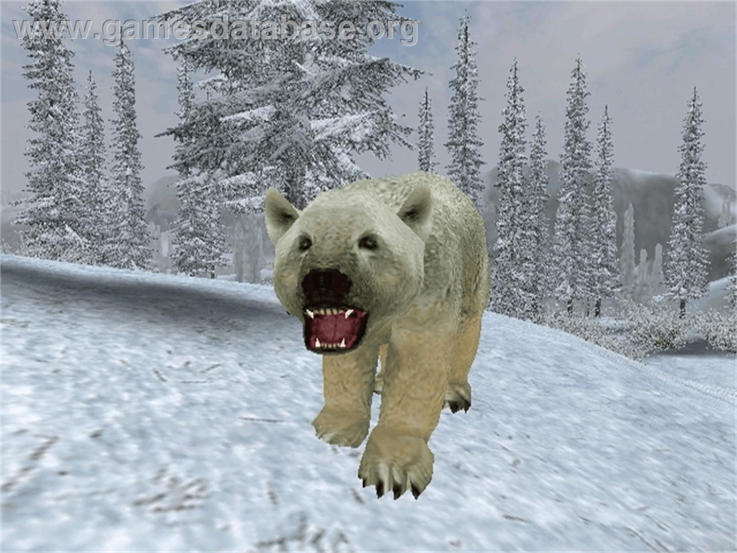 Cabela's Big Game Hunter 2005 Adventures - Microsoft Xbox - Artwork - In Game