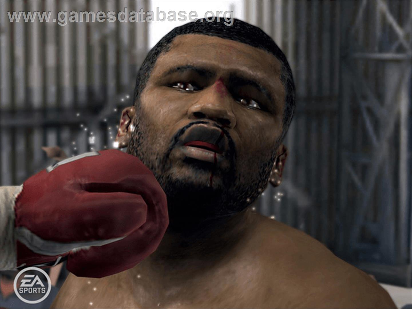 Fight Night Round 3 - Microsoft Xbox - Artwork - In Game