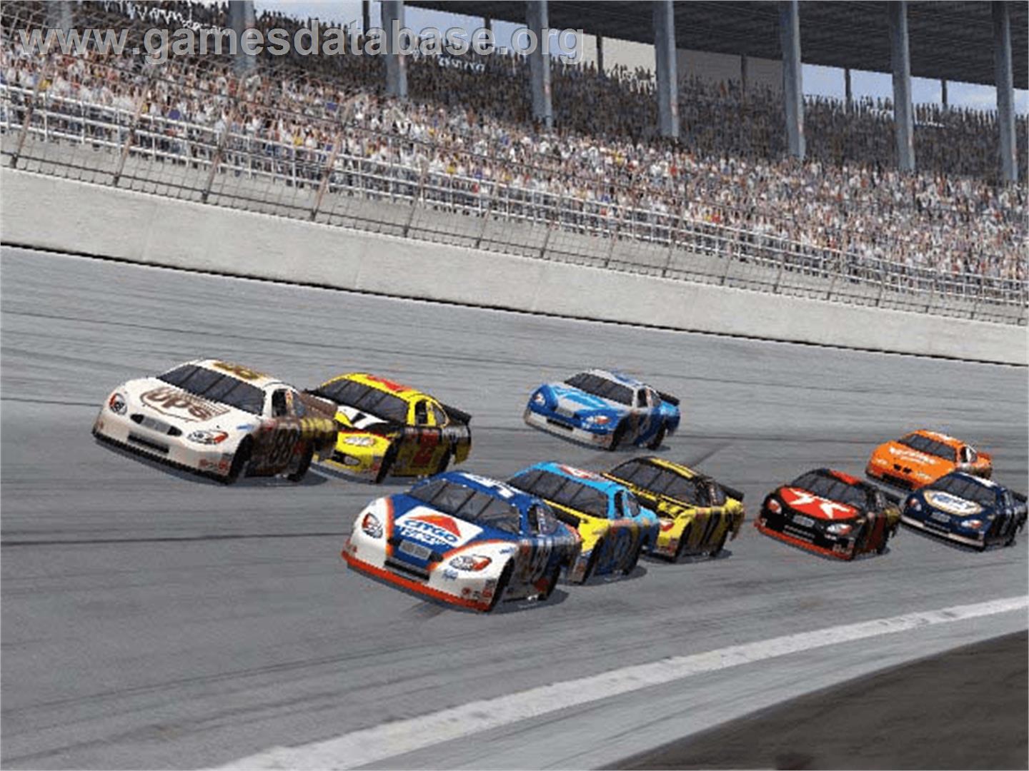 NASCAR Heat 2002 - Microsoft Xbox - Artwork - In Game