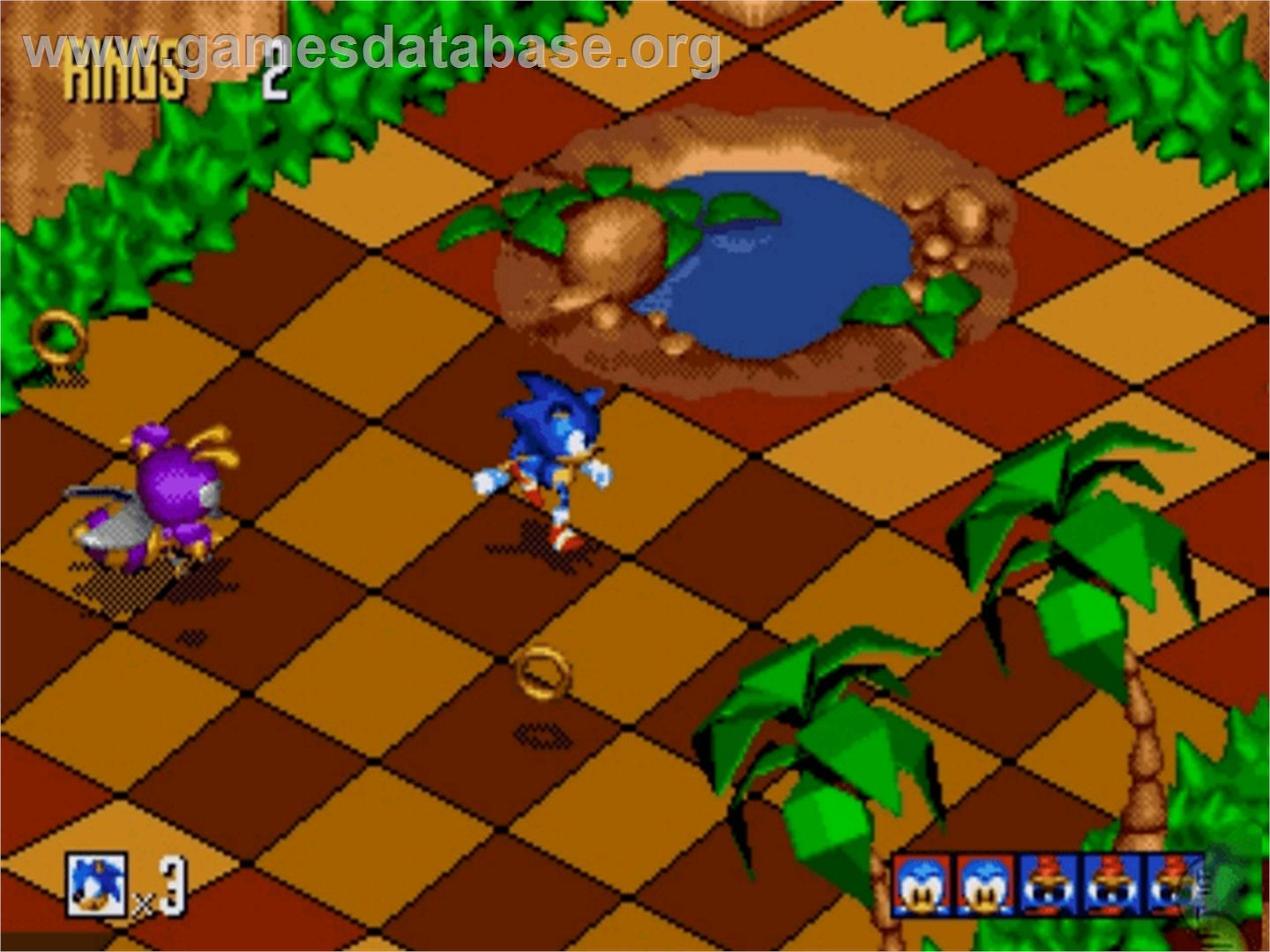 Sonic Mega Collection Plus - Microsoft Xbox - Artwork - In Game