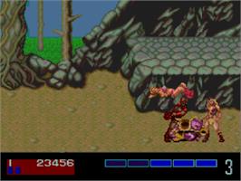 In game image of Golden Axe on the NEC PC Engine CD.