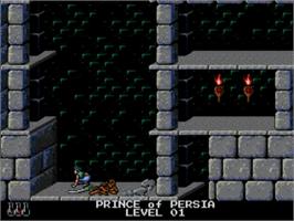 In game image of Prince of Persia on the NEC TurboGrafx CD.