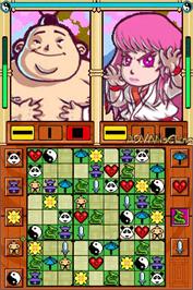 In game image of Zendoku on the Nintendo DS.