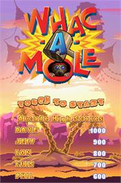 Title screen of Whac-A-Mole on the Nintendo DS.