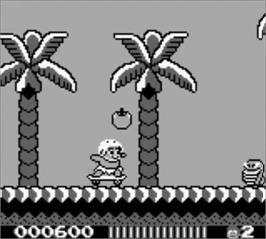 In game image of Adventure Island on the Nintendo Game Boy.