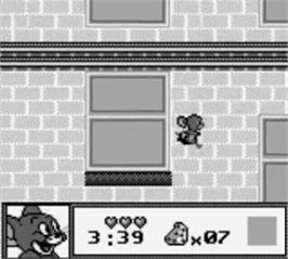 In game image of Tom & Jerry: Frantic Antics on the Nintendo Game Boy.