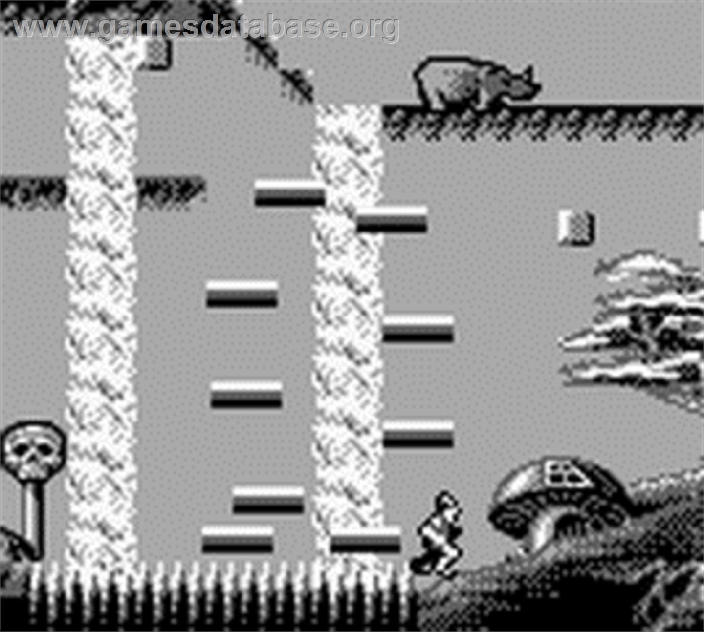 Dragon's Lair - The Legend - Nintendo Game Boy - Artwork - In Game