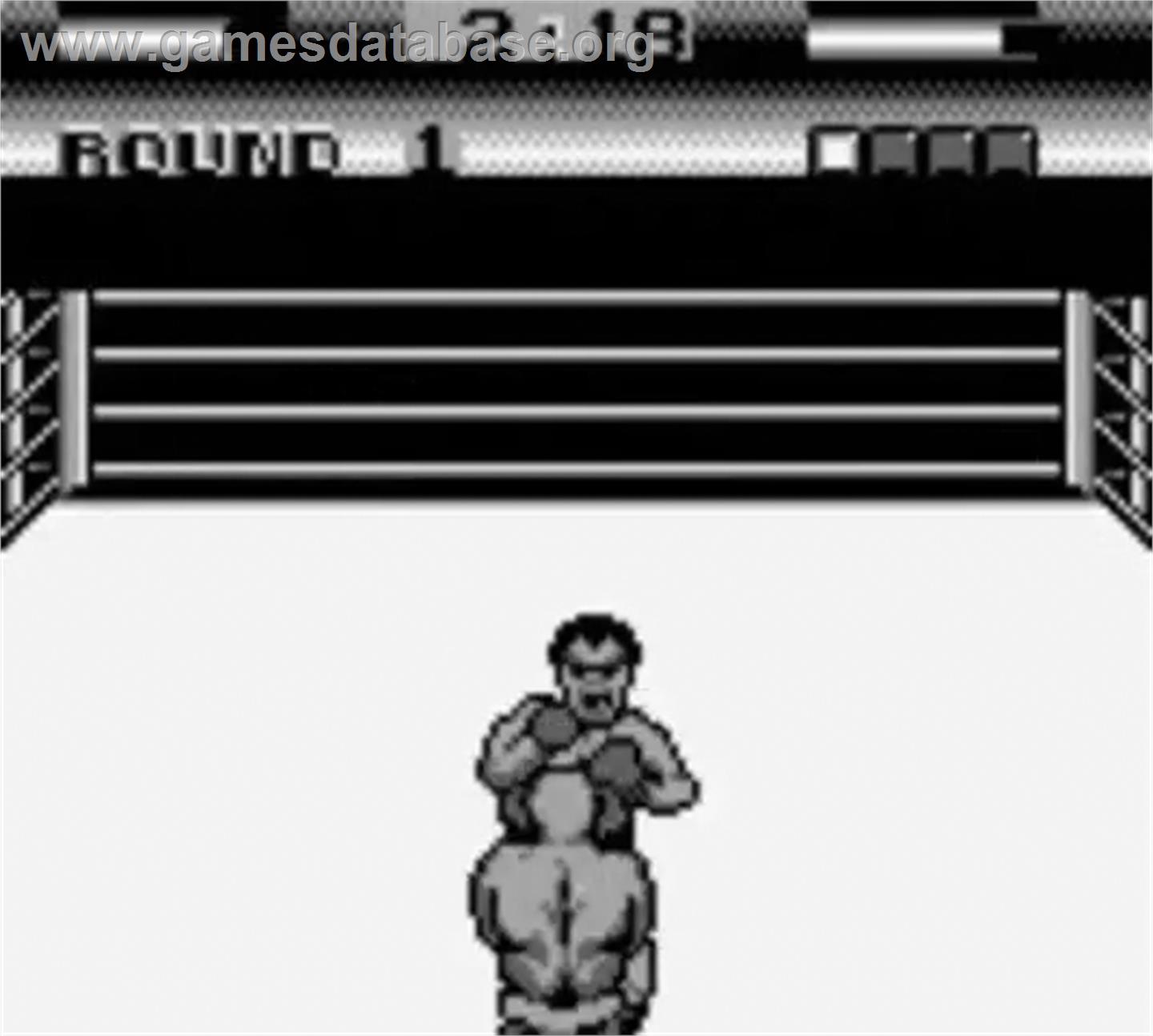 George Foreman's KO Boxing - Nintendo Game Boy - Artwork - In Game