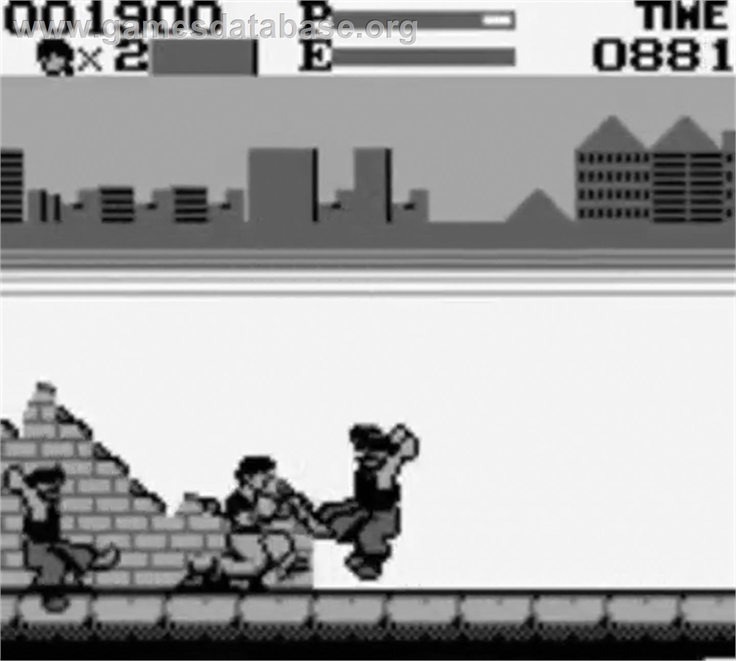 Kung-Fu Master - Nintendo Game Boy - Artwork - In Game
