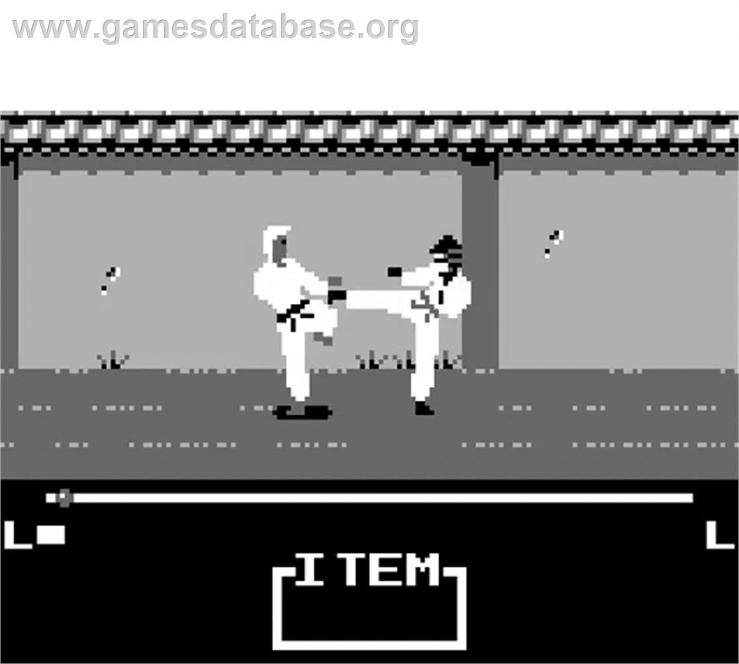 Master Karateka - Nintendo Game Boy - Artwork - In Game