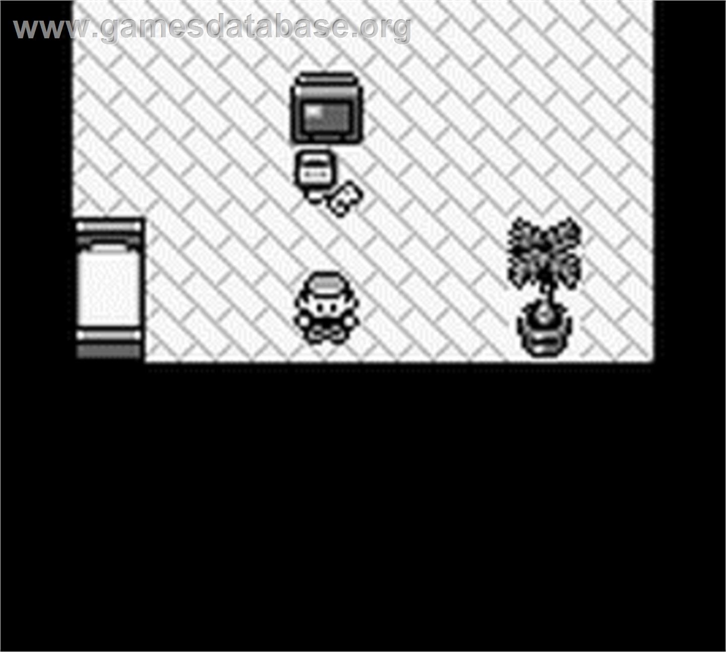 Pokemon - Red Version - Nintendo Game Boy - Artwork - In Game