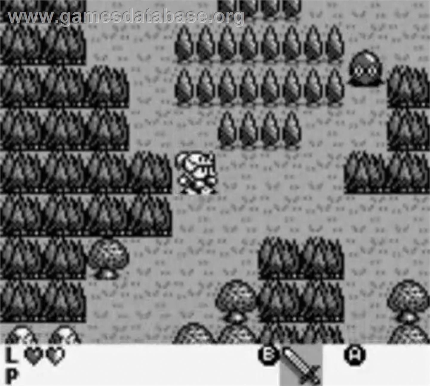 Rolan's Curse - Nintendo Game Boy - Artwork - In Game