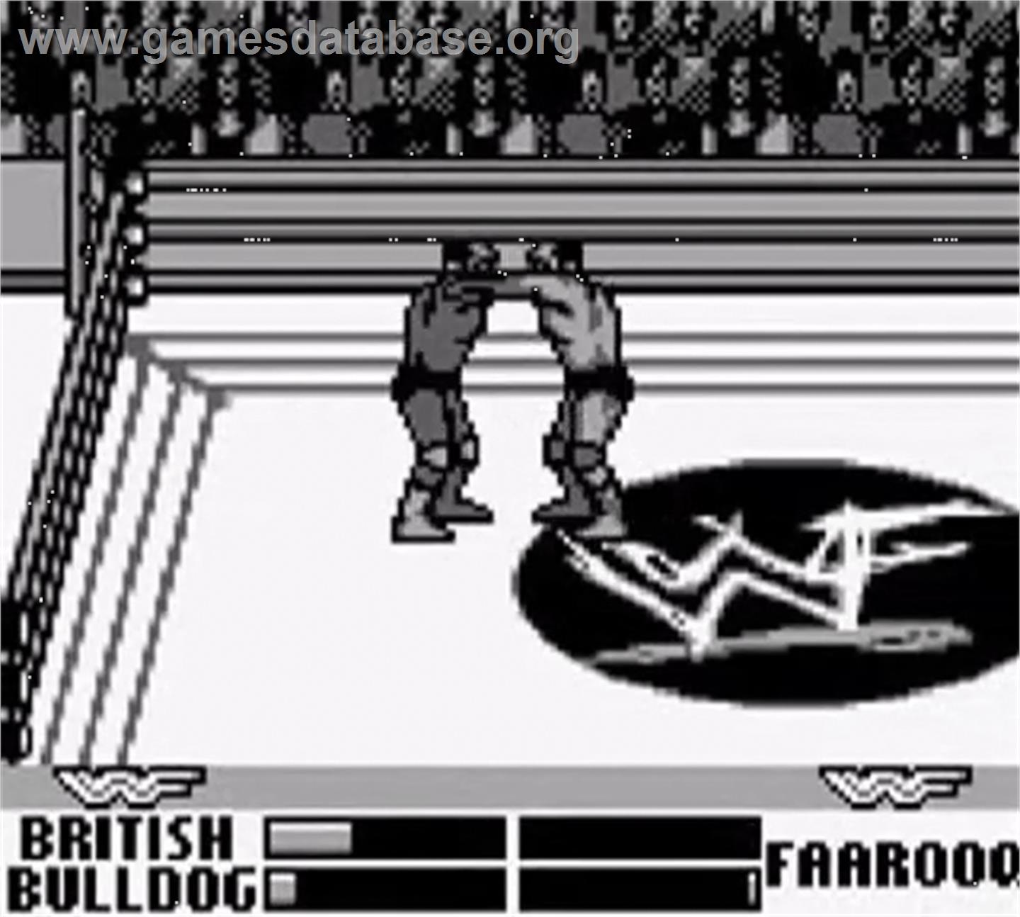 WWF War Zone - Nintendo Game Boy - Artwork - In Game