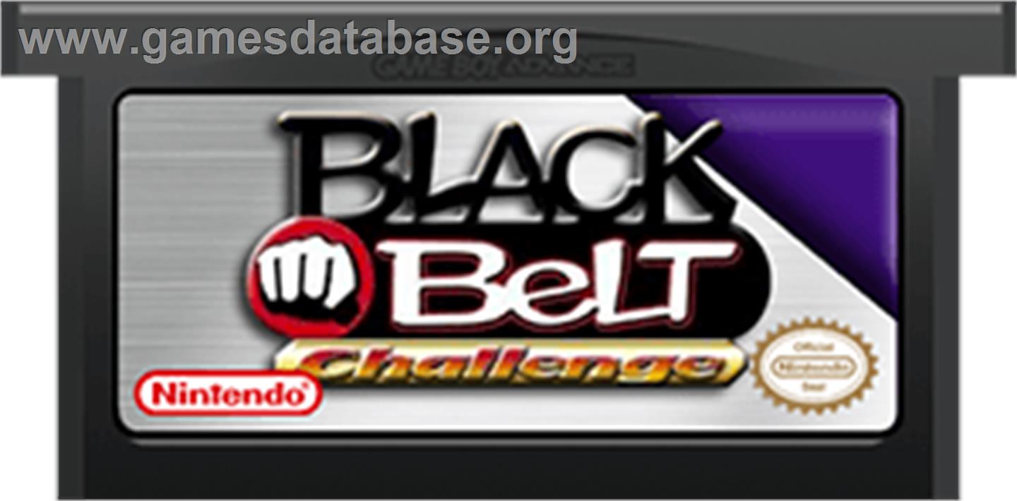 Black Belt Challenge - Nintendo Game Boy Advance - Artwork - Cartridge