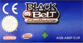 Top of cartridge artwork for Black Belt Challenge on the Nintendo Game Boy Advance.